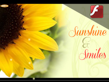  Flash Greeting Card 